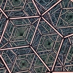 Meet your Posher, Rish